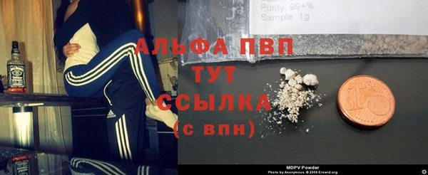 круглые Аркадак