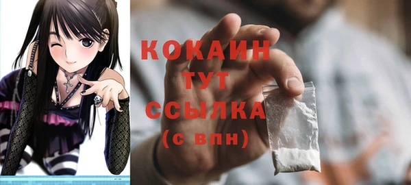стафф Арсеньев