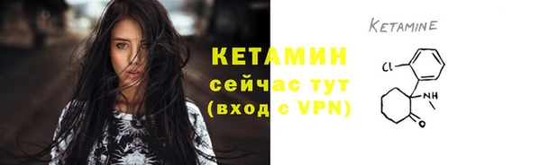 стафф Арсеньев