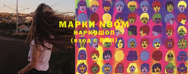 стафф Арсеньев